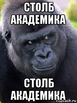 столб академика столб академика, Мем Зачем