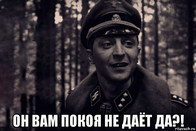 он вам покоя не даёт да?!, Мем Зеленский