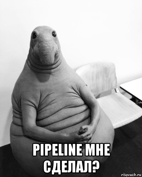  pipeline мне сделал?, Мем  Ждун