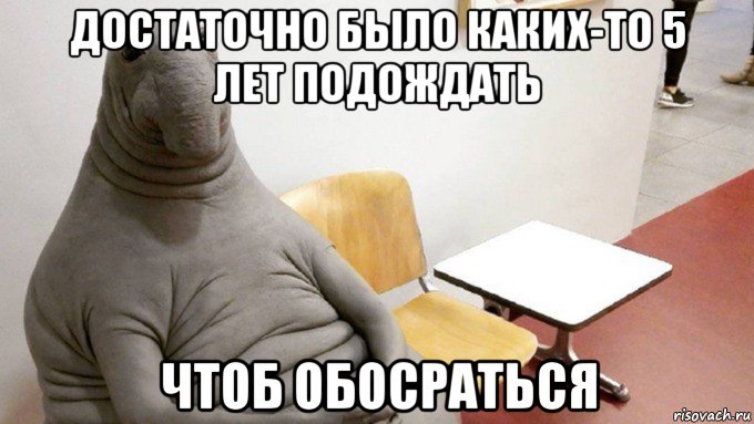 достаточно было каких-то 5 лет подождать чтоб обосраться