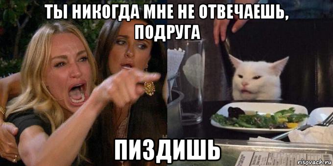 ты никогда мне не отвечаешь, подруга пиздишь