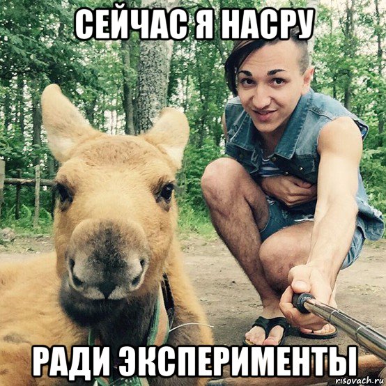 сейчас я насру ради эксперименты, Мем Животное и Животное