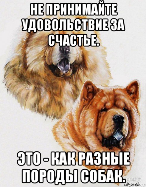 не принимайте удовольствие за счастье. это - как разные породы собак., Мем Жён любишь преимущественно чужих
