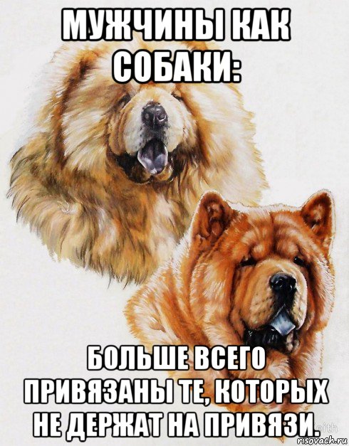 мужчины как собаки: больше всего привязаны те, которых не держат на привязи., Мем Жён любишь преимущественно чужих