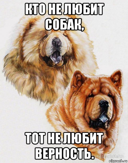 кто не любит собак, тот не любит верность., Мем Жён любишь преимущественно чужих
