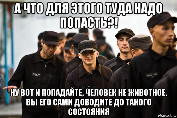 а что для этого туда надо попасть?! ну вот и попадайте, человек не животное, вы его сами доводите до такого состояния, Мем Зона