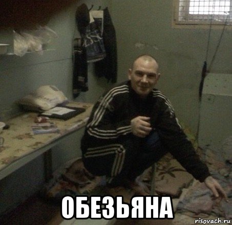 обезьяна, Мем Zona
