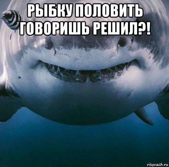 рыбку половить говоришь решил?! , Мем Акула