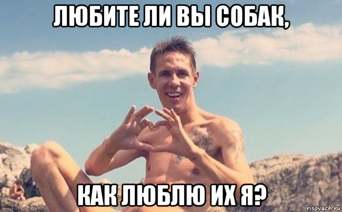 любите ли вы собак, как люблю их я?
