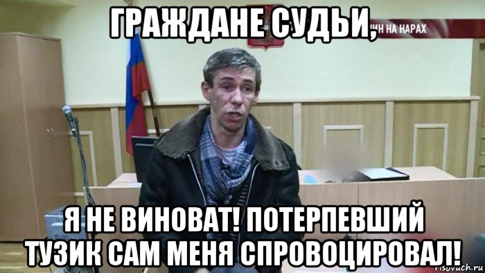граждане судьи, я не виноват! потерпевший тузик сам меня спровоцировал!, Мем Алексей Панин
