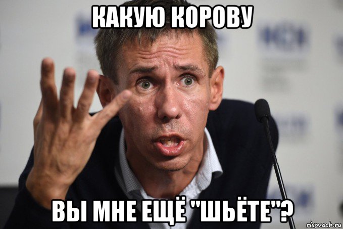 какую корову вы мне ещё "шьёте"?, Мем Алексей Панин