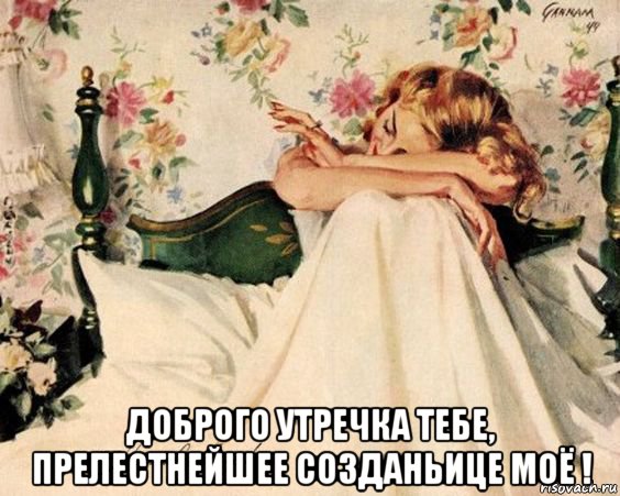  доброго утречка тебе, прелестнейшее созданьице моё !, Мем АЛЬКОВ