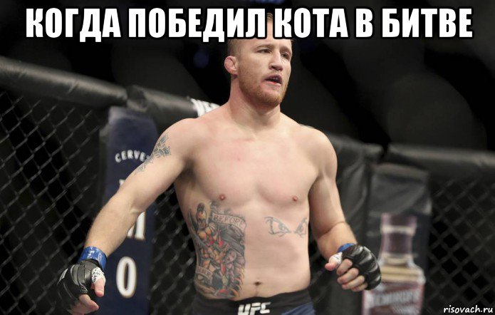 когда победил кота в битве , Мем Ав