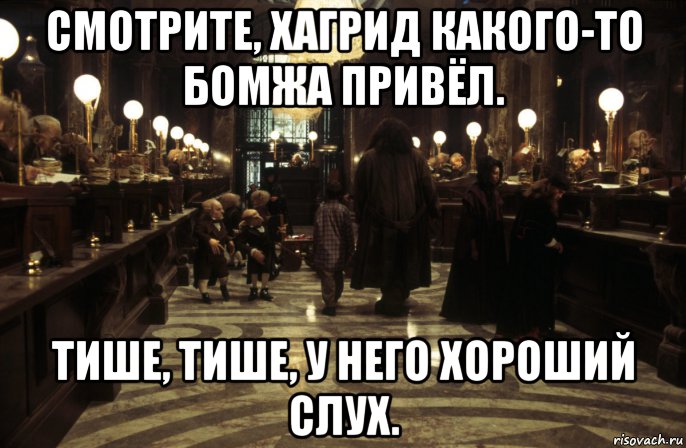 смотрите, хагрид какого-то бомжа привёл. тише, тише, у него хороший слух., Мем Банк