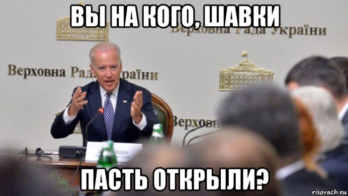 вы на кого, шавки пасть открыли?