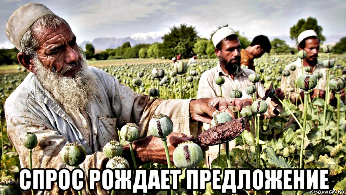  спрос рождает предложение, Мем Бедный афганистан