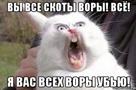 вы все скоты воры! всё! я вас всех воры убью!