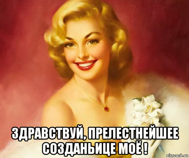  здравствуй, прелестнейшее созданьице моё !, Мем БЛОНДИК