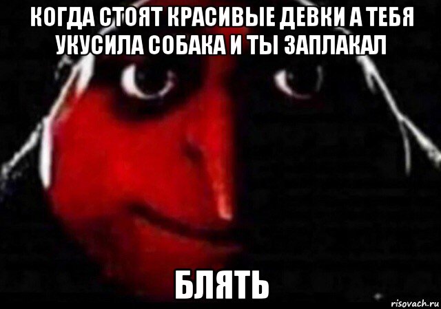 когда стоят красивые девки а тебя укусила собака и ты заплакал блять, Мем Блять
