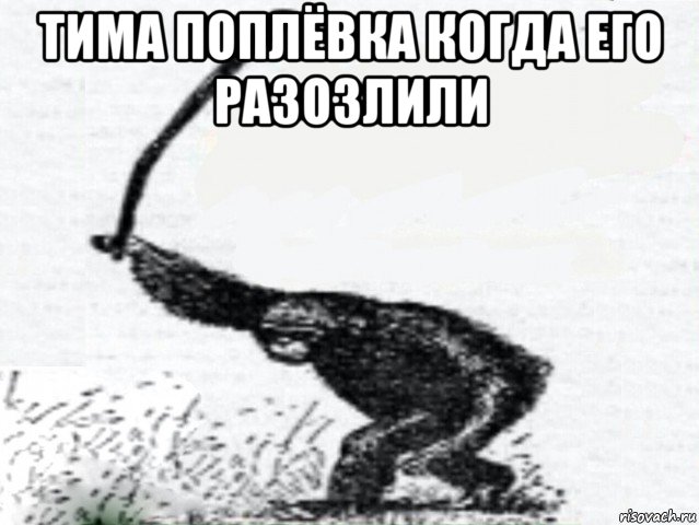 тима поплёвка когда его разозлили 
