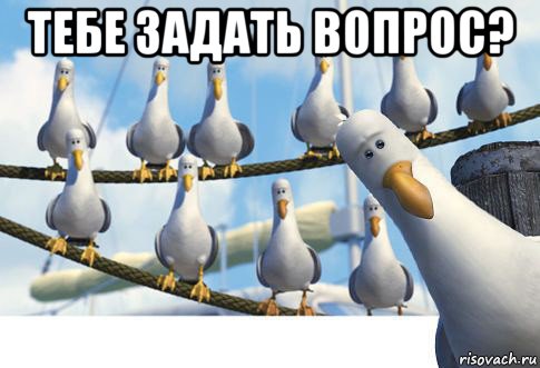 тебе задать вопрос? 