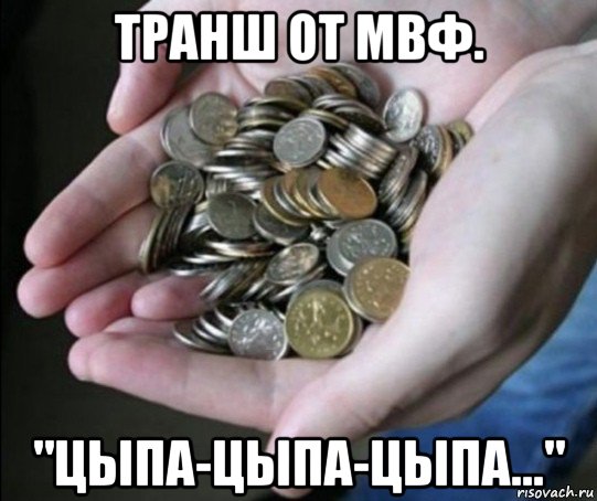 транш от мвф. "цыпа-цыпа-цыпа...", Мем DinoPark