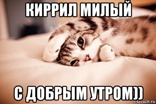 киррил милый с добрым утром))