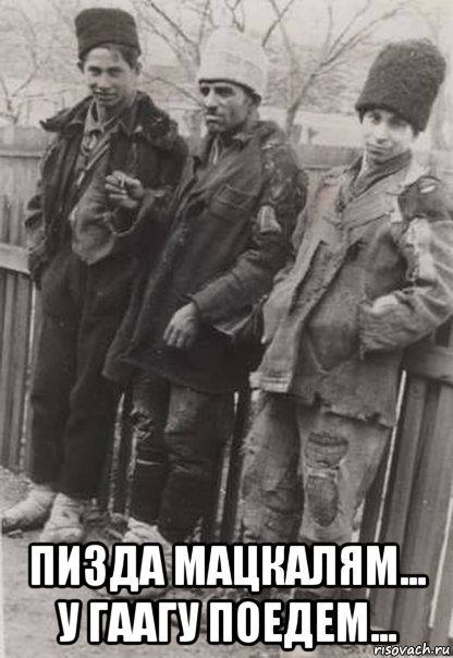  пизда мацкалям... у гаагу поедем..., Мем Долрлр