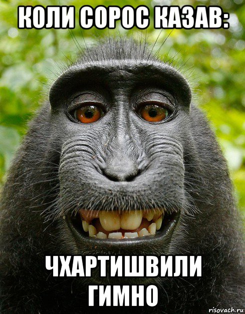 коли сорос казав: чхартишвили гимно, Мем  Довольная обезьяна