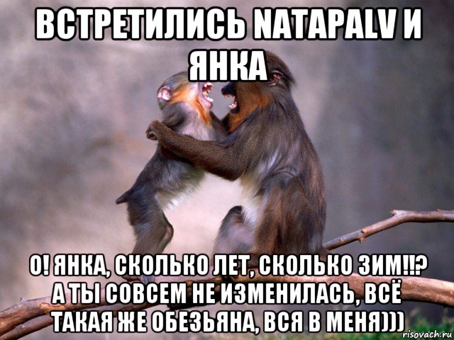 встретились natapalv и янка о! янка, сколько лет, сколько зим!!? а ты совсем не изменилась, всё такая же обезьяна, вся в меня))), Мем Две обезьяны