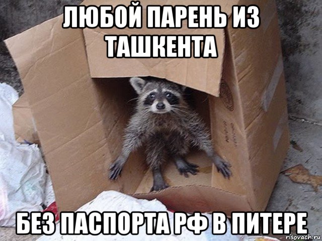 любой парень из ташкента без паспорта рф в питере