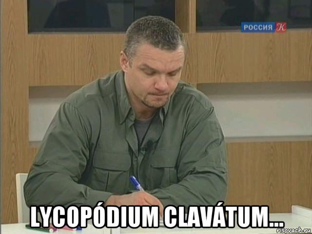  lycopódium clavátum..., Мем Епифанцев