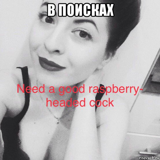 в поисках 