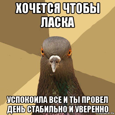 хочется чтобы ласка успокоила все и ты провел день стабильно и уверенно