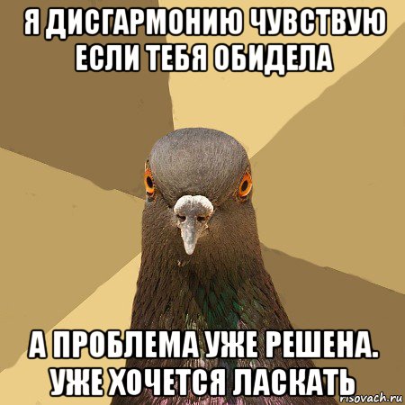 я дисгармонию чувствую если тебя обидела а проблема уже решена. уже хочется ласкать, Мем голубь