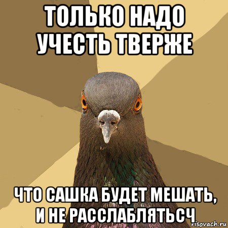 только надо учесть тверже что сашка будет мешать, и не расслаблятьсч, Мем голубь