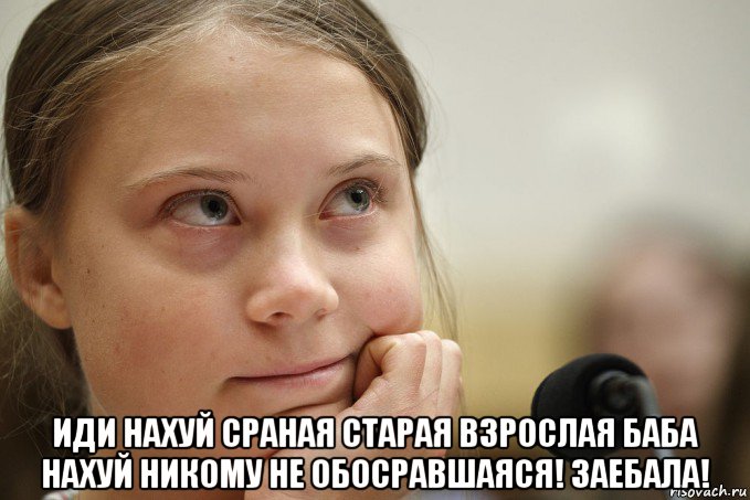  иди нахуй сраная старая взрослая баба нахуй никому не обосравшаяся! заебала!, Мем Грета