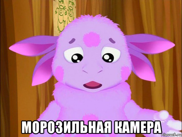  морозильная камера