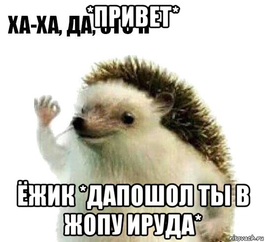 *привет* ёжик *дапошол ты в жопу ируда*, Мем Ха-ха да это я