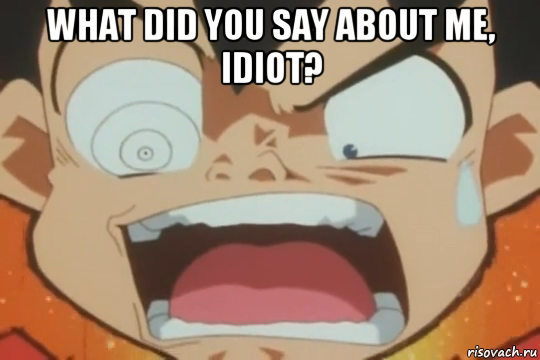 what did you say about me, idiot? 