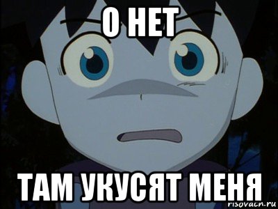 о нет там укусят меня, Мем Ikki scared