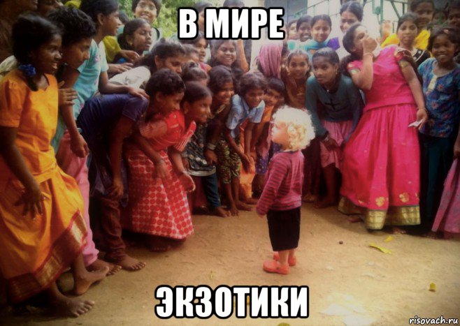 в мире экзотики