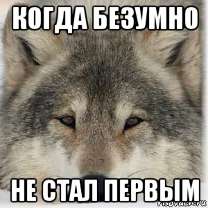 когда безумно не стал первым, Мем Ирония