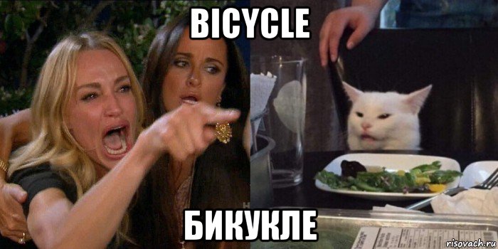bicycle бикукле, Мем Истеричка и кот