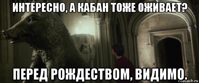 интересно, а кабан тоже оживает? перед рождеством, видимо., Мем Кабан
