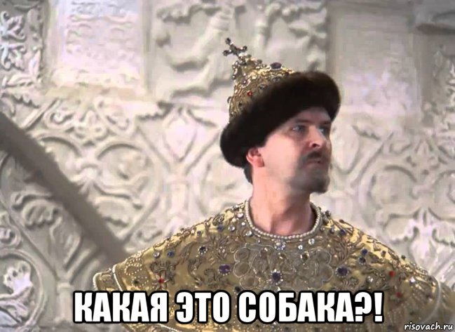  какая это собака?!, Мем Какая это собака