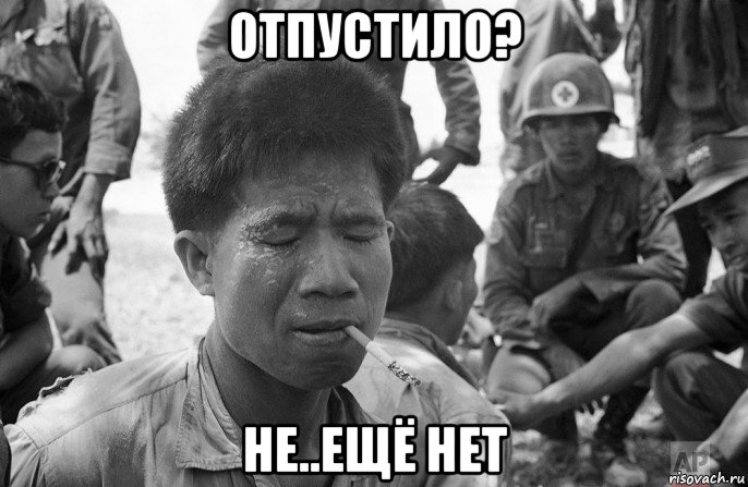 отпустило? не..ещё нет