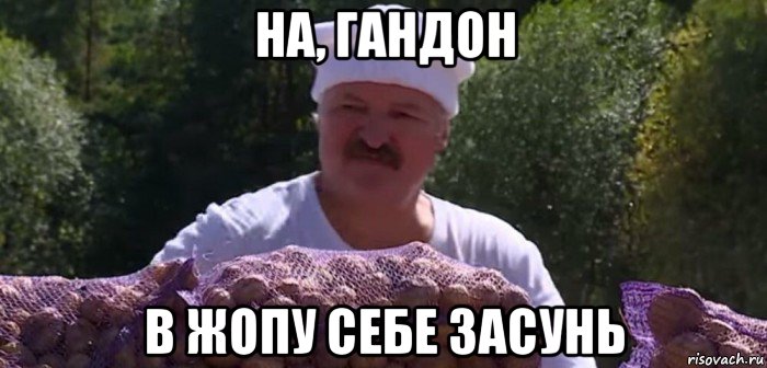 на, гандон в жопу себе засунь, Мем Картошка