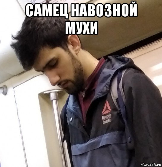 самец навозной мухи 