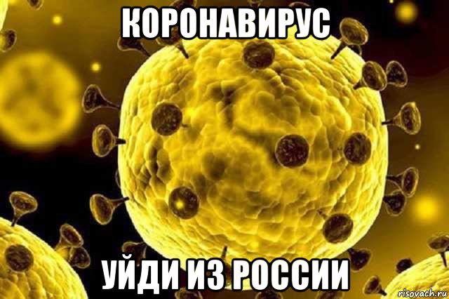 коронавирус уйди из россии, Мем Коронавирус